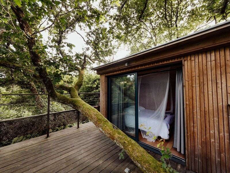 Cabane en bois avec terrasse entourée d'arbres verts, vue sur une chambre avec lit et moustiquaire.