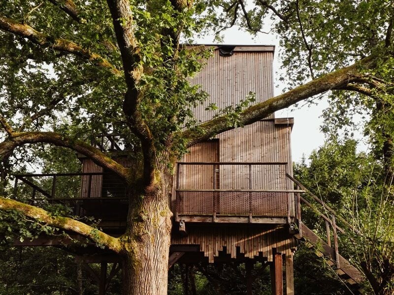 Cabane en bois perchée dans un grand arbre avec balcon et escalier extérieur, ambiance nature.