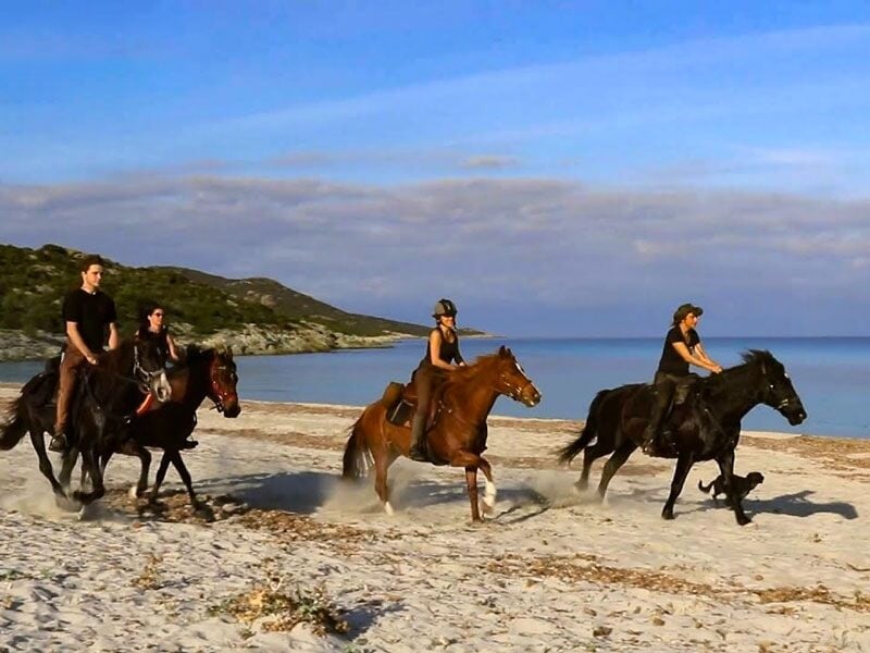 Quatre cavaliers galopant sur une plage sableuse avec mer calme et ciel bleu clair.