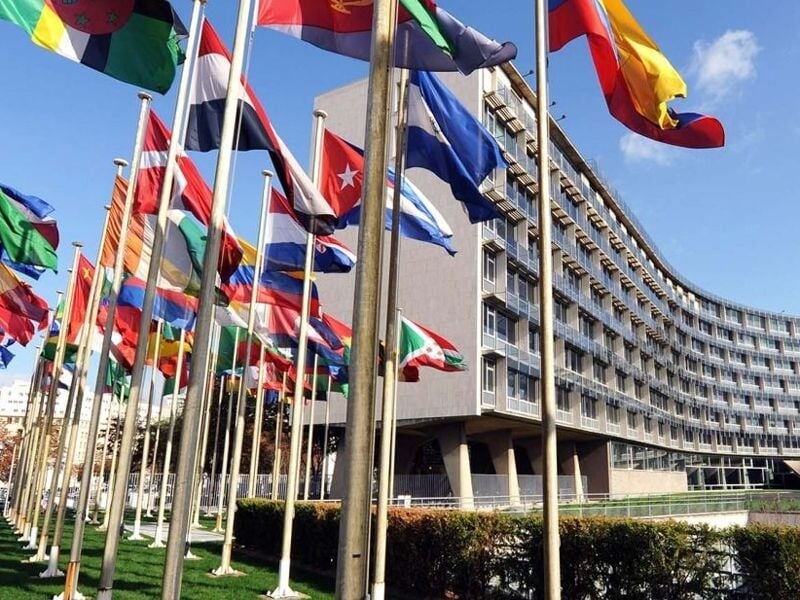 Drapeaux colorés de plusieurs pays flottant devant un bâtiment administratif moderne sous un ciel bleu clair.