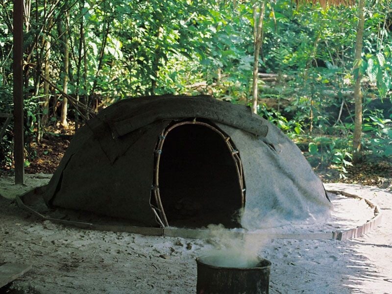 Une hutte traditionnelle en forêt avec de la fumée qui s'échappe d'un foyer à l'entrée.