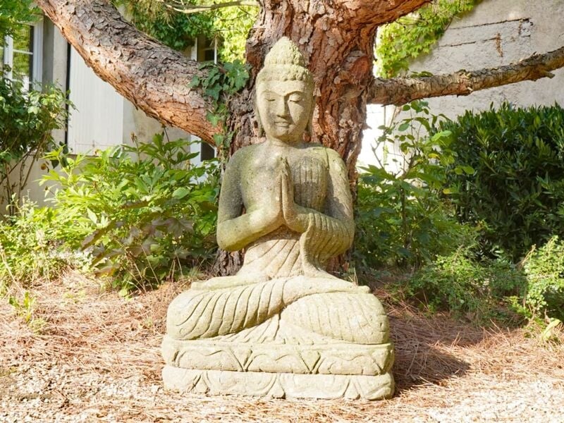 Statue de Bouddha en pierre assise en méditation sous un arbre dans un jardin avec des plantes et de la lumière.