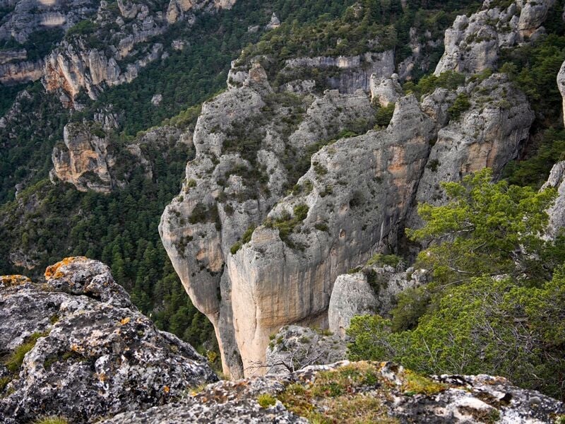 Vue panoramique sur des falaises calcaires abruptes avec une végétation dense au sommet dans le Rozier.