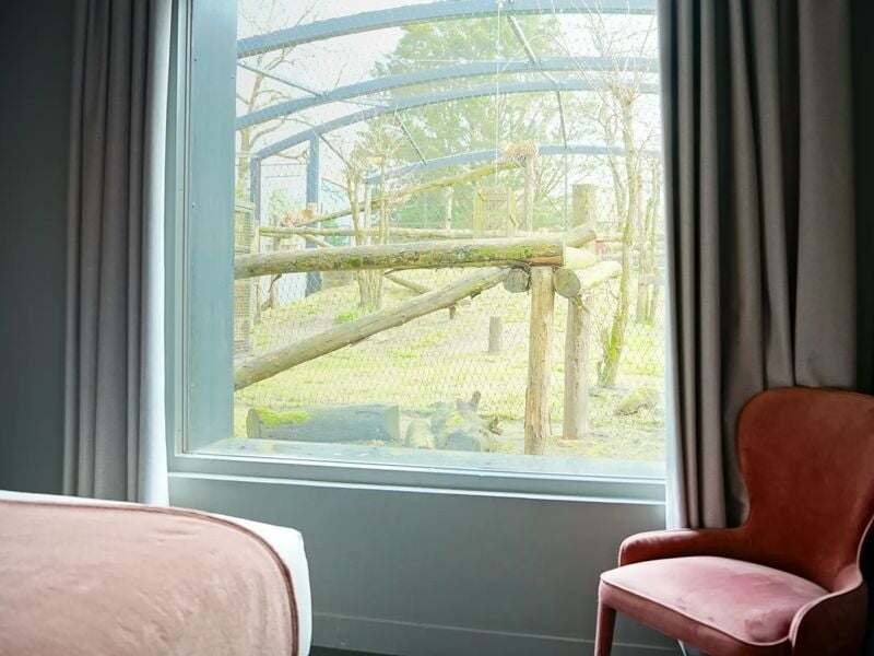 Fenêtre donnant sur un enclos extérieur, fauteuil rose à côté et partie d'un lit avec couverture rose visible.
