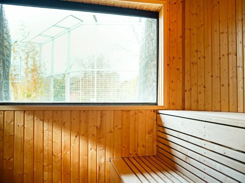 Intérieur d'un sauna en bois clair avec bancs et grande fenêtre laissant entrer la lumière naturelle.