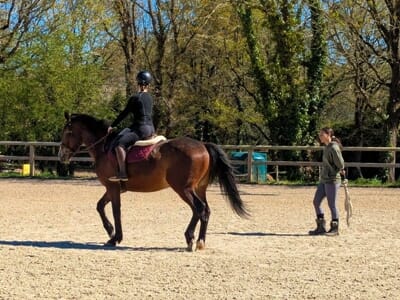 Stage à Cheval et Balade en Poney près de Nantes