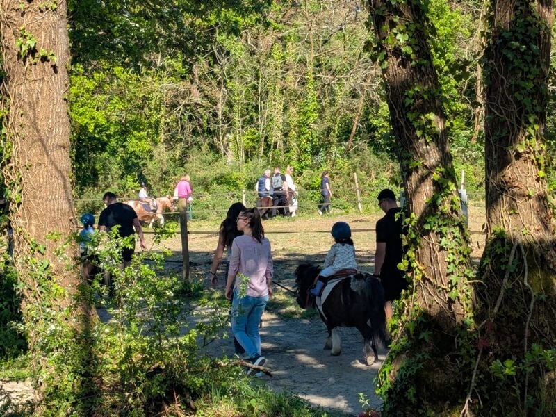 Enfants et adultes en balade à cheval sur un chemin forestier entouré d'arbres verts et de lumière naturelle.