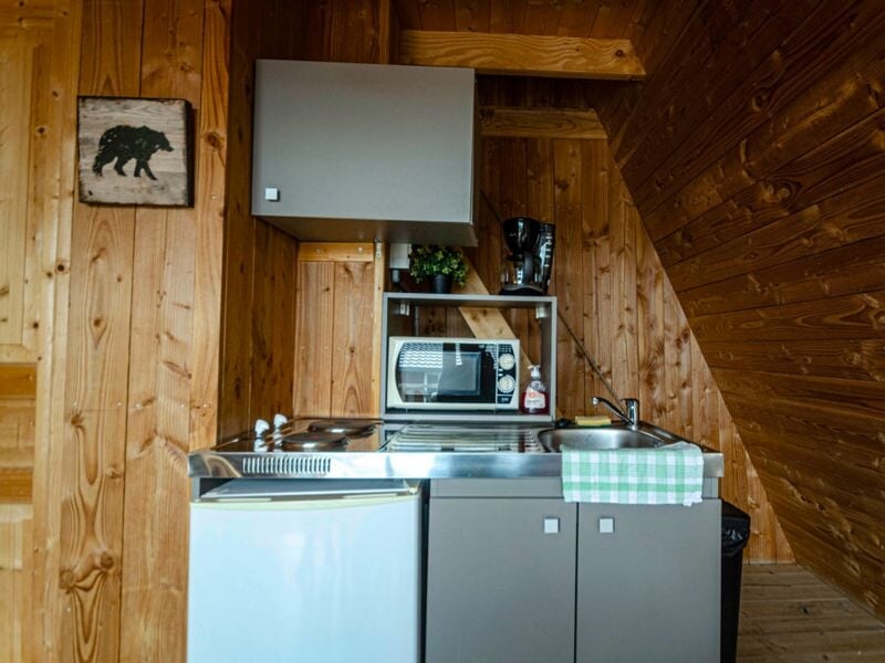 Cuisine compacte en bois avec petit frigo, micro-ondes, plaque de cuisson et décoration murale ours.