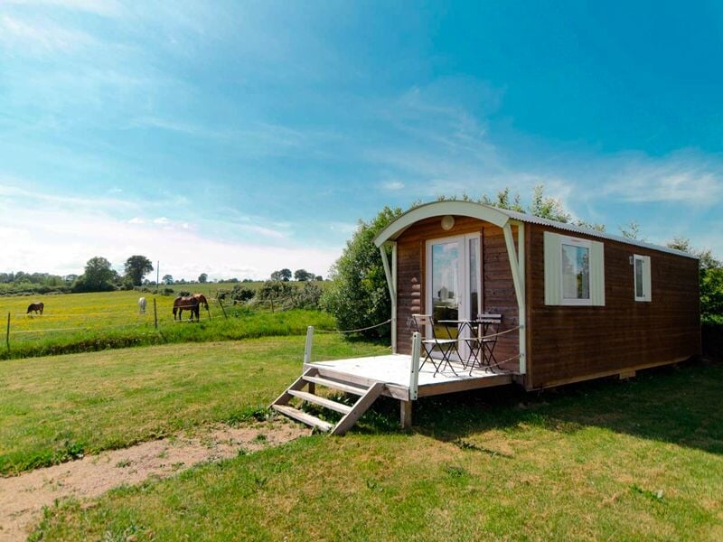 Petite maison en bois avec terrasse et table, située dans un champ verdoyant avec chevaux au loin sous un ciel bleu.