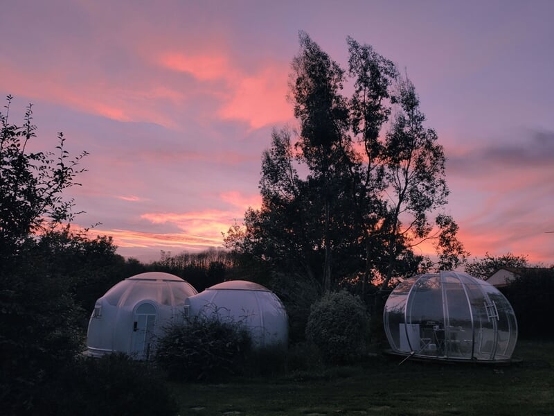 Trois bulles transparentes installées dans un jardin au coucher du soleil avec un ciel rose et violet.