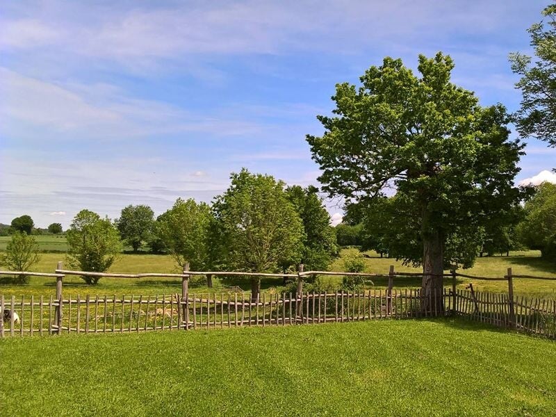 Vue d'un jardin vert avec une clôture en bois, un arbre et un ciel bleu avec quelques nuages.