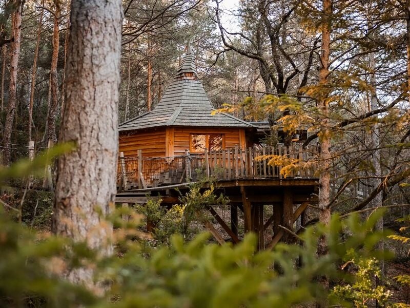 Cabane en bois sur pilotis dans une forêt dense avec un toit pointu et une terrasse en bois.
