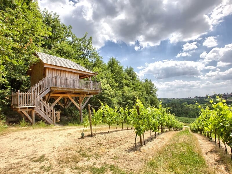 Cabane en bois sur pilotis au milieu des vignes sous un ciel partiellement nuageux en pleine nature verdoyante.