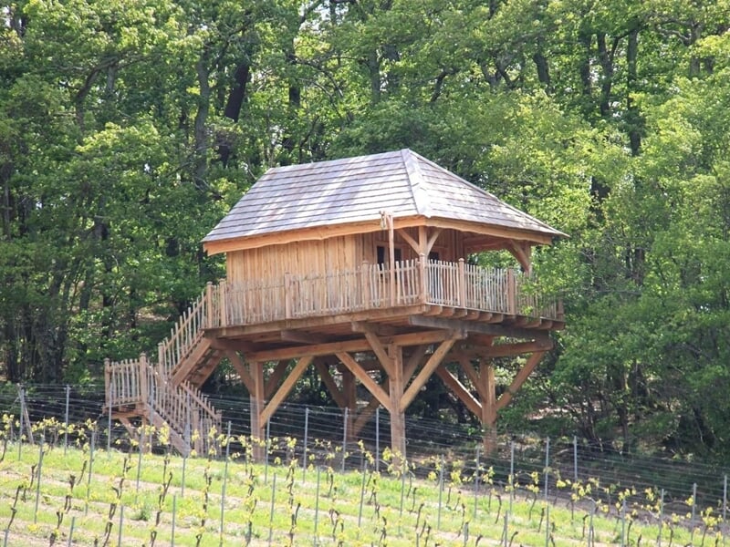 Cabane en bois sur pilotis entourée de vignes et de forêt sous un ciel bleu avec quelques nuages.