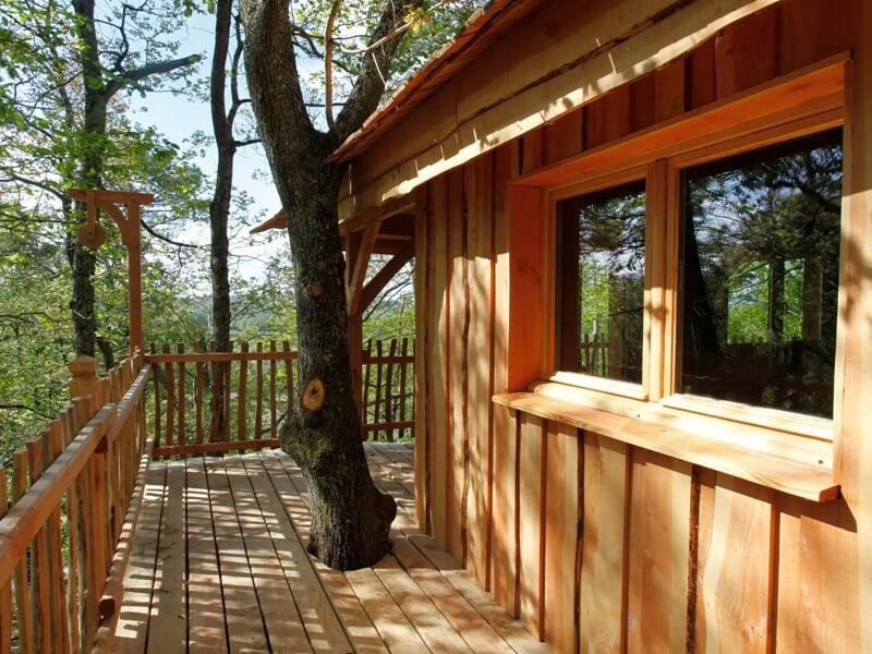 Terrasse en bois autour d'un arbre, fenêtre et murs en bois, cadre naturel et paisible.