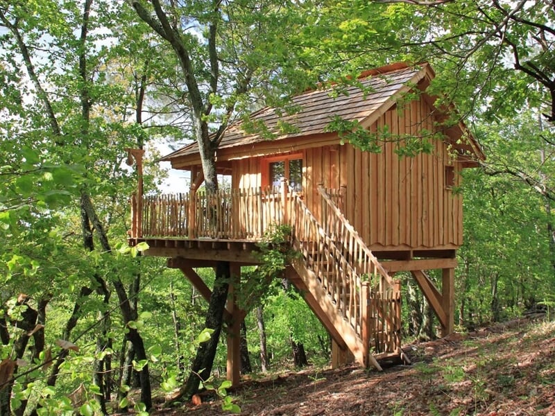 Cabane en bois sur pilotis dans une forêt dense, entourée d'arbres verts et feuillus.