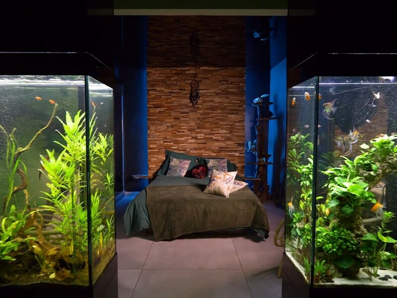Chambre avec lit double entouré de deux grands aquariums remplis de plantes et poissons colorés.