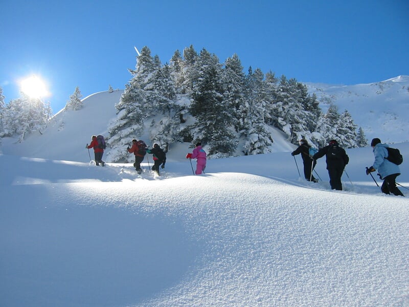 Personne en raquettes à neige marchant dans un paysage enneigé avec des arbres