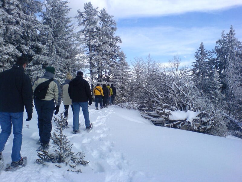 Groupe de personnes en raquettes à neige marchant dans un paysage hivernal enneigé