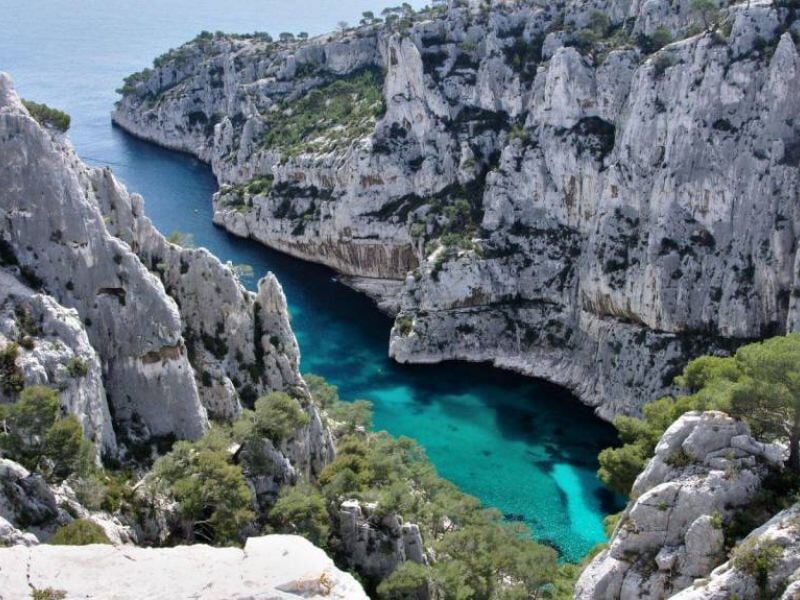 Personnes en randonnée trekking dans un paysage naturel avec des arbres et des collines