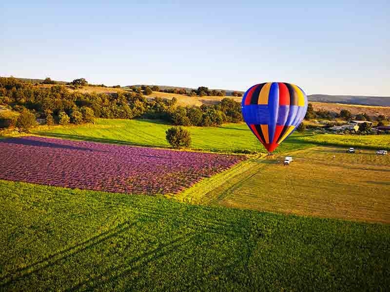 Montgolfière colorée atterrissant près d'un champ de lavande et d'une prairie verdoyante, avec des véhicules à proximité.
