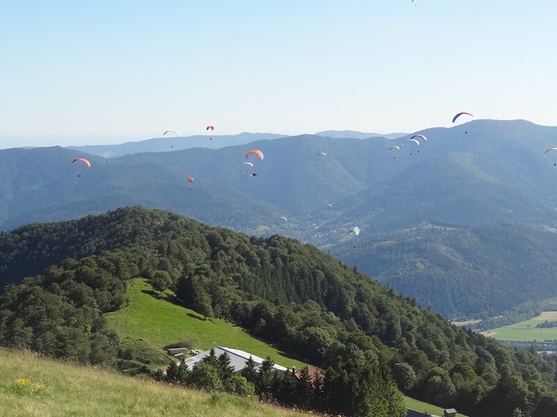 Plusieurs parapentes colorés volent au-dessus d'une vallée verdoyante entourée de montagnes sous un ciel clair.