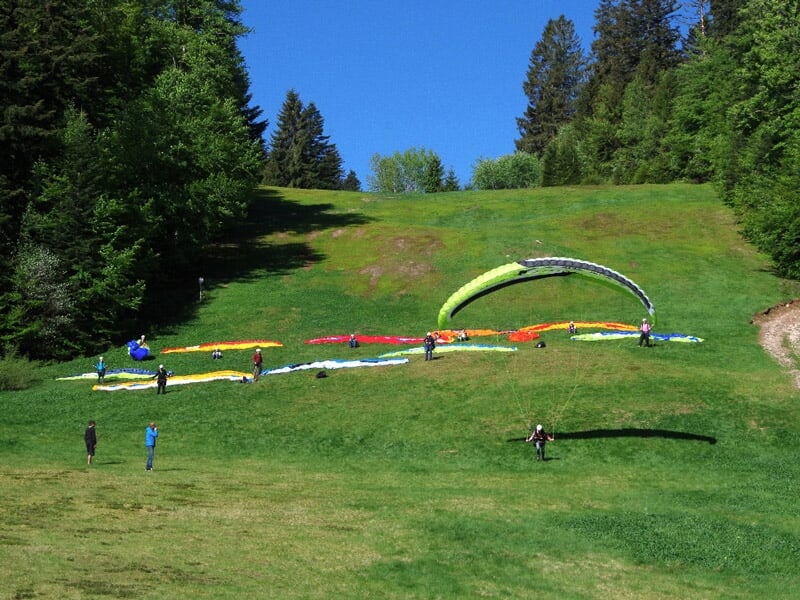 Plusieurs parapentistes préparent leurs voiles colorées étendues sur une pente herbeuse entourée de forêt, sous un ciel dégagé.
