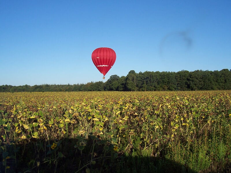 vol en montgolfière au-dessus d'un champ