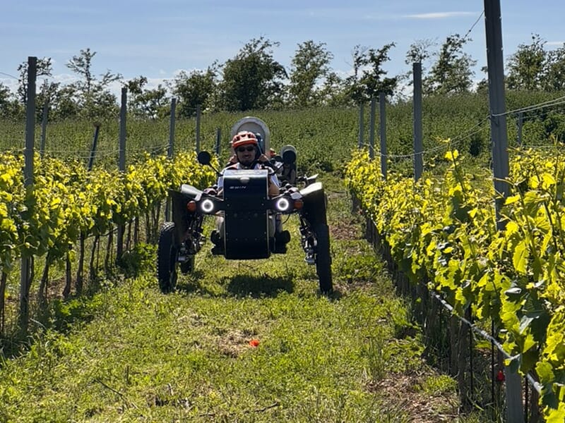 Conducteur et passager dans un véhicule tout-terrain électrique roulant entre des rangées de vignes.