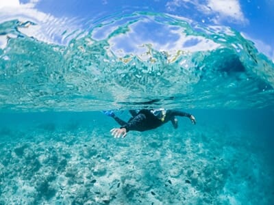 Snorkeling à Saint-Tropez - Randonnée Palmée en Méditerranée