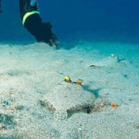 avis Baptême de Plongée à Arcachon