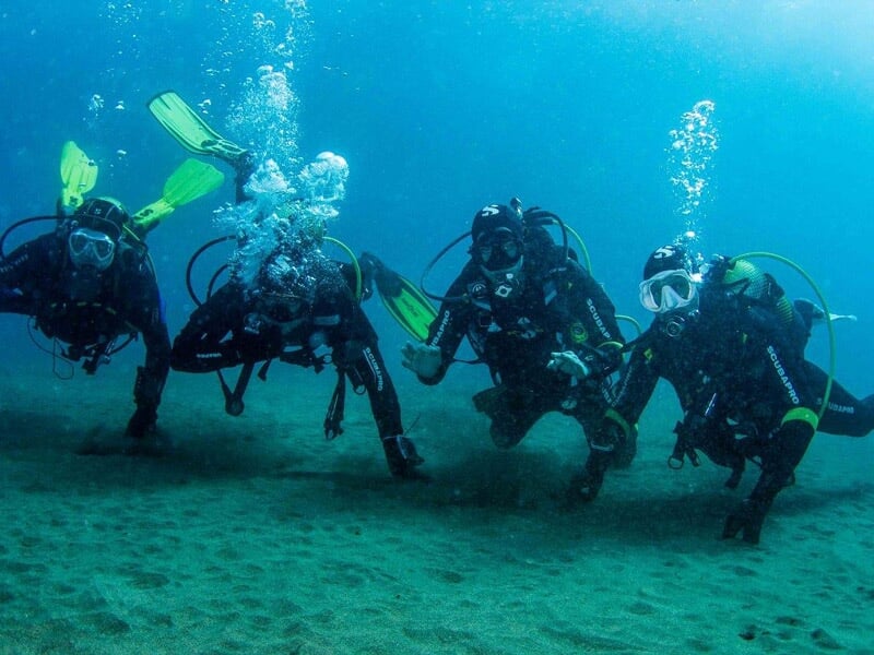 Quatre plongeurs sous l'eau en combinaison noire, nageant près du fond sableux en formant une ligne.
