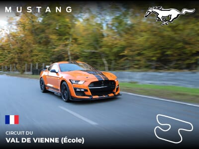 Stage Pilotage Mustang - Circuit du Val de Vienne École